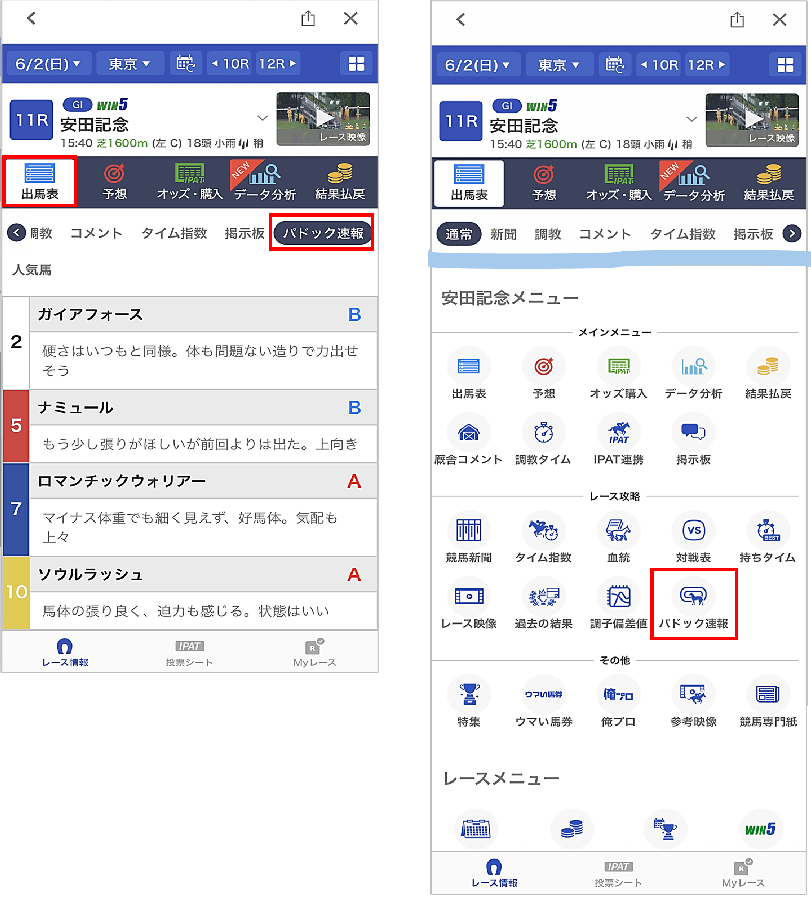 パドック速報_1.png