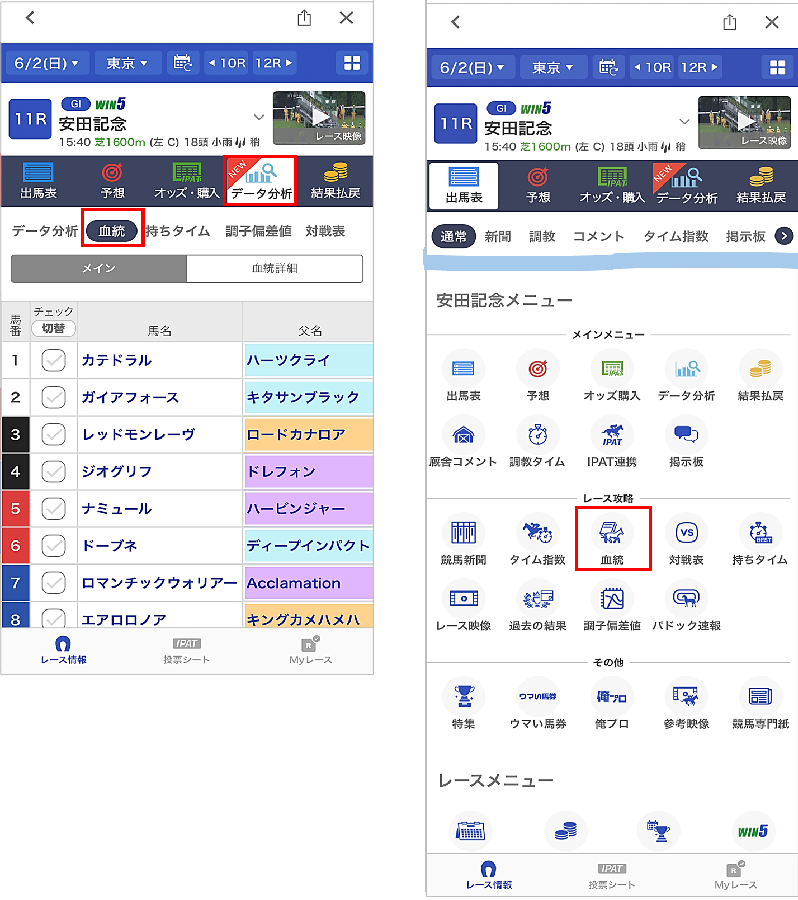 血統_1.png
